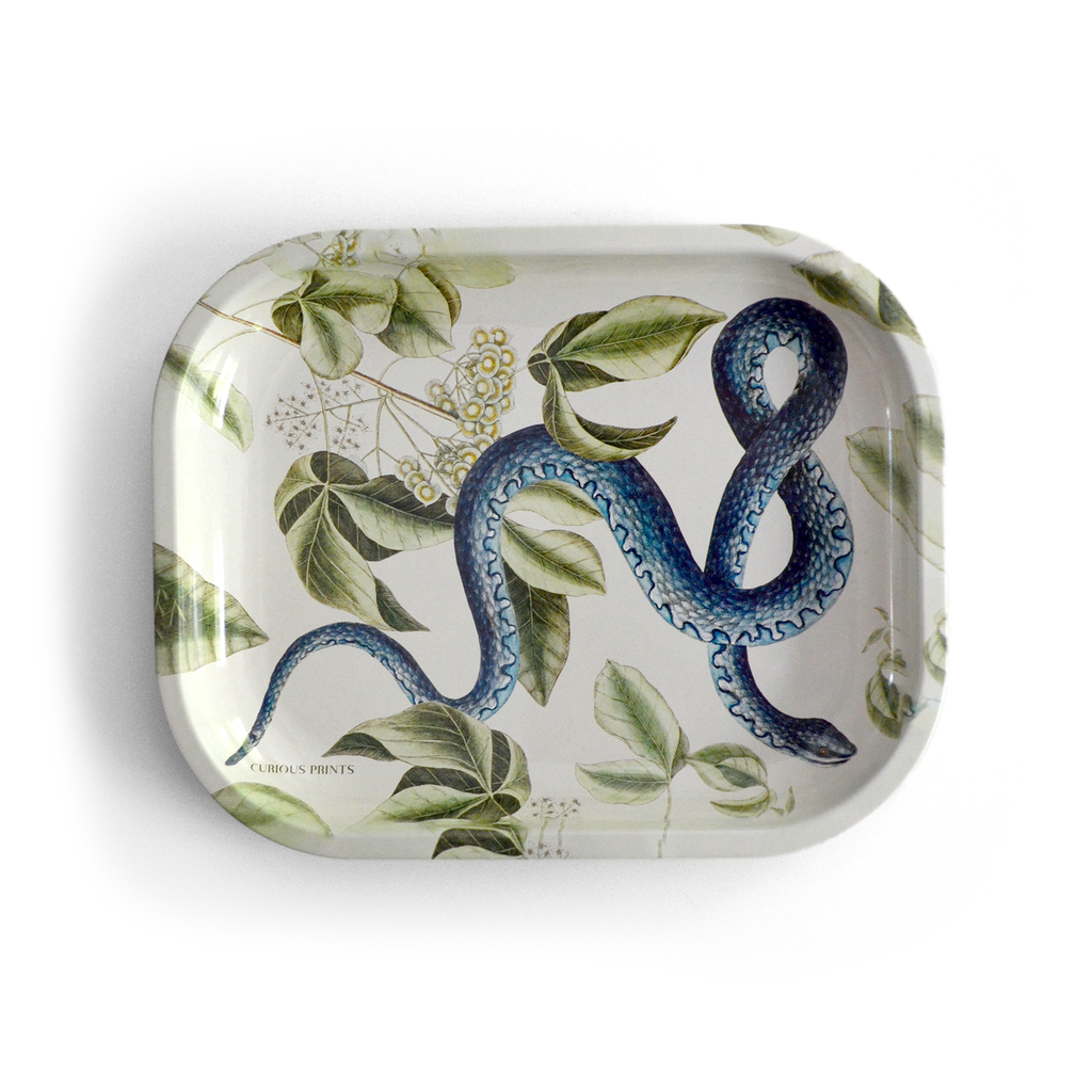 The Serpent’s Garden Trinket Tray
