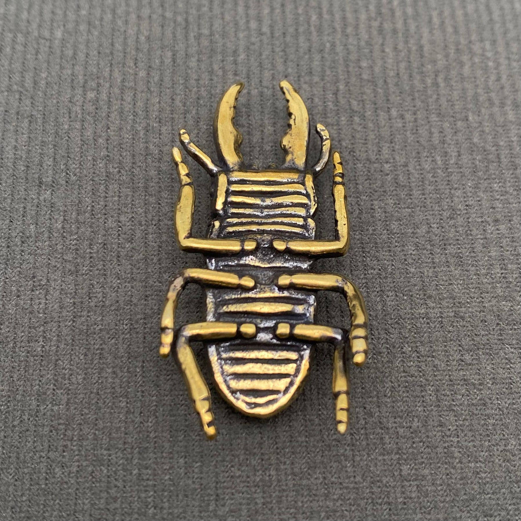 The Philosopher’s Beetle