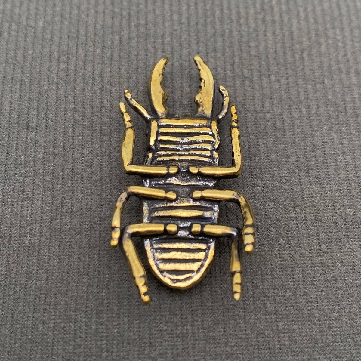 The Philosopher’s Beetle