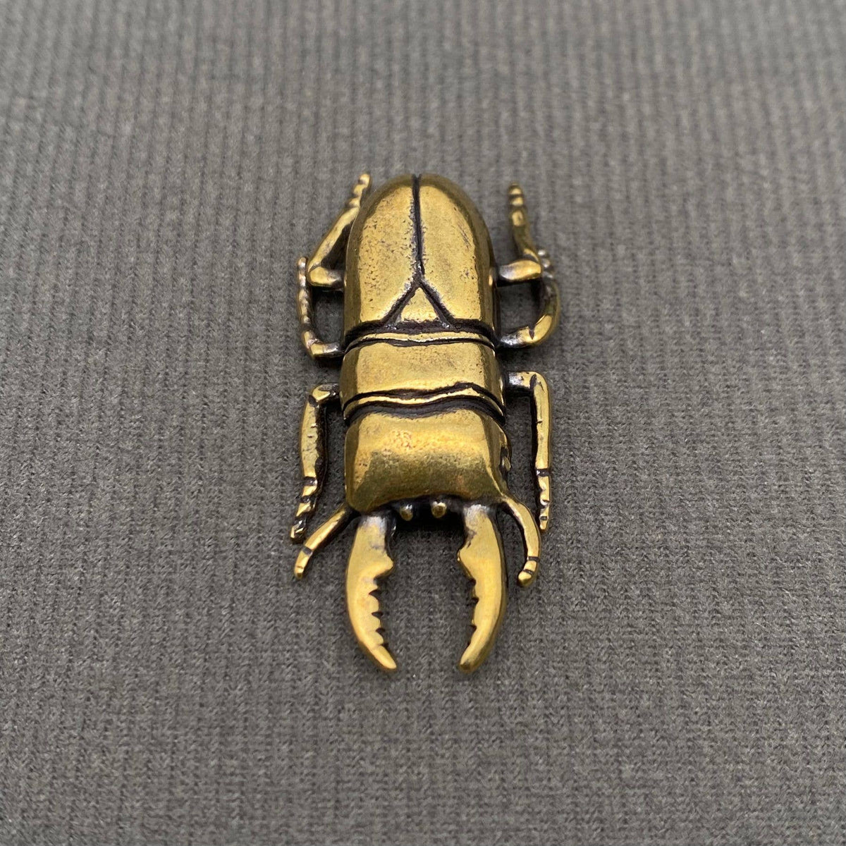 The Philosopher’s Beetle
