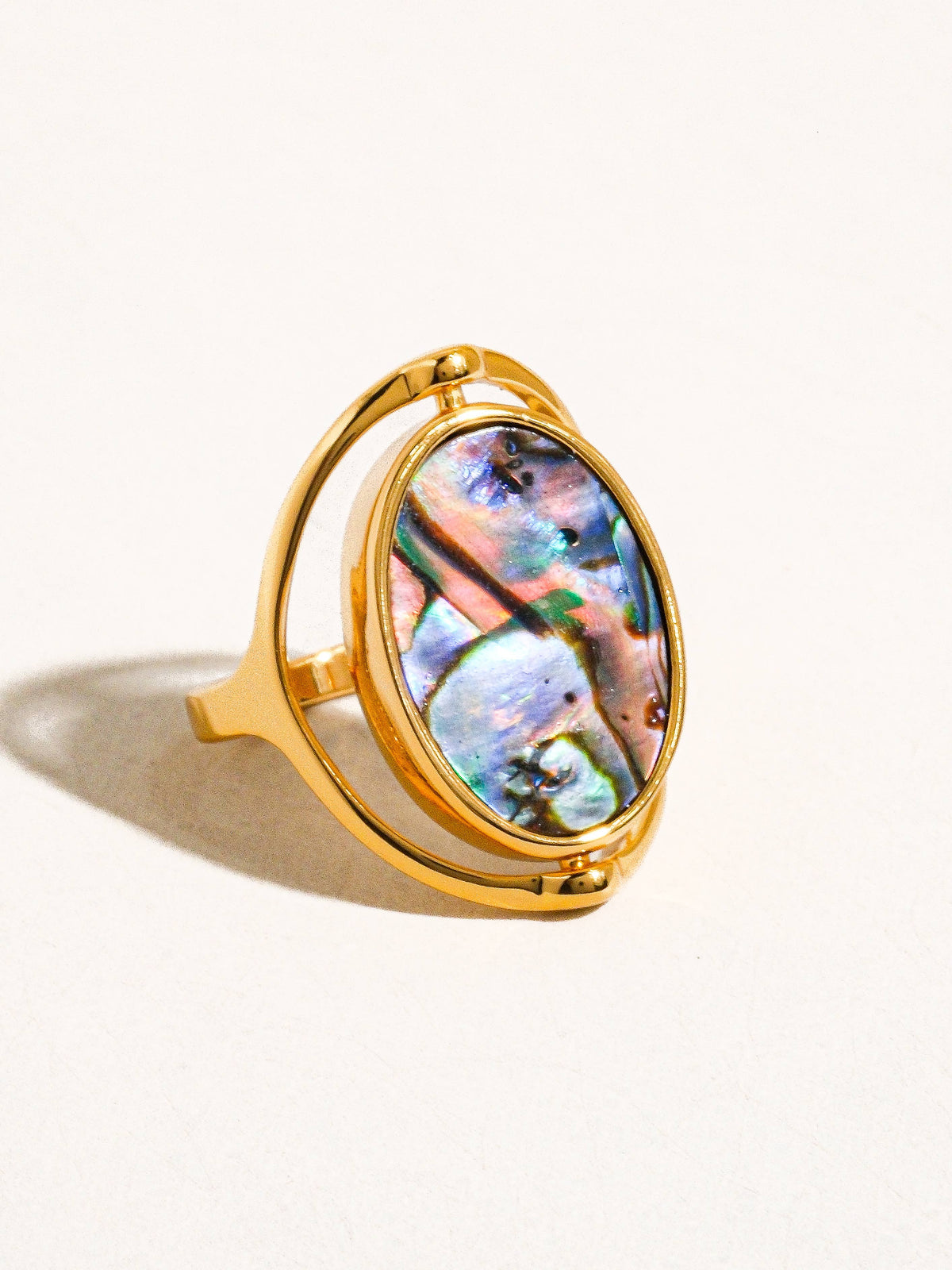 Anima Mundi Spinner Ring
