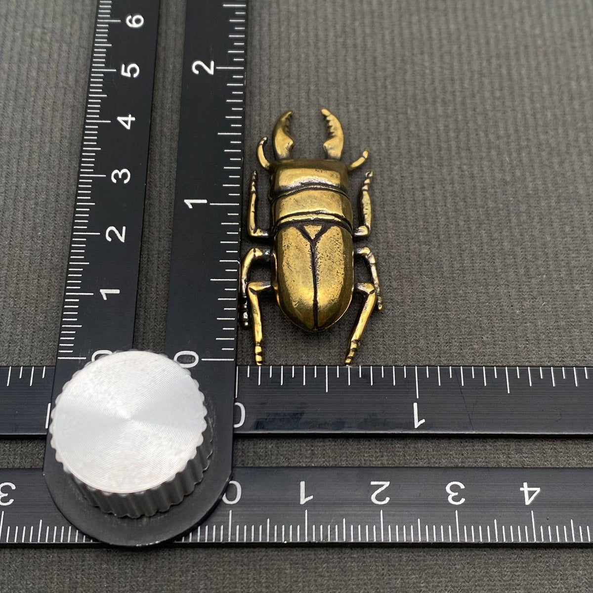 The Philosopher’s Beetle