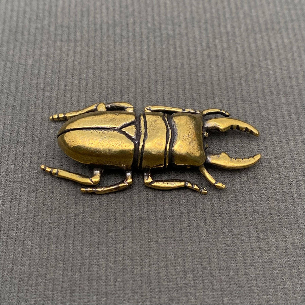 The Philosopher’s Beetle