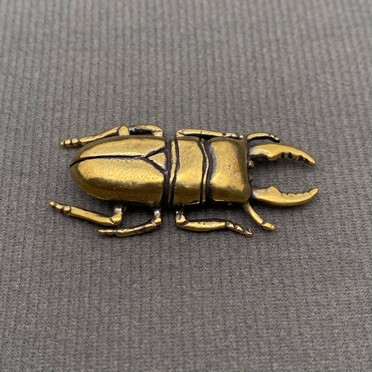 The Philosopher’s Beetle